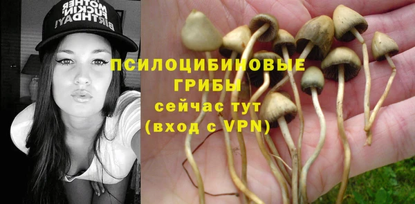 ГАЛЛЮЦИНОГЕННЫЕ ГРИБЫ Балабаново