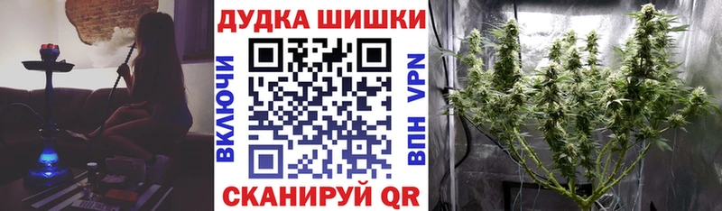 блэк спрут Темников Бошки Шишки планчик